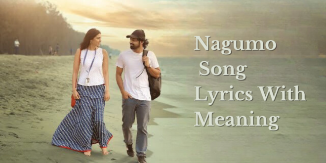 Nagumo Song Lyrics With Meaning - hridayam